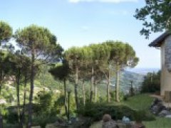 Collina di Sarzana con splendida vista mare panoramica Villetta con terreno - 7
