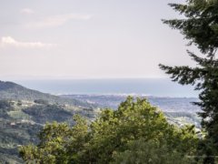 Collina di Sarzana con splendida vista mare panoramica Villetta con terreno - 2