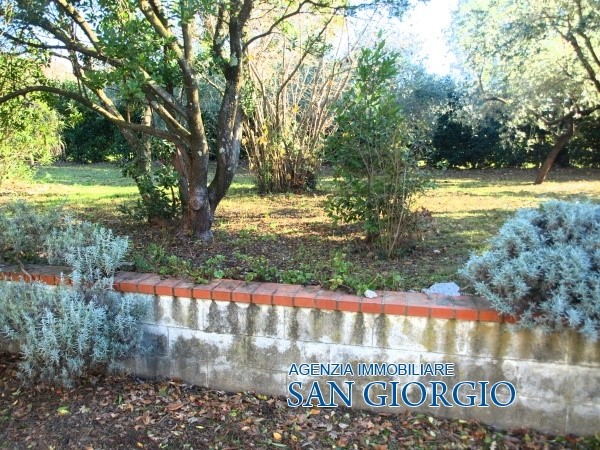 Villa SARZANA vendita  Sarzana  Immobiliare San Giorgio