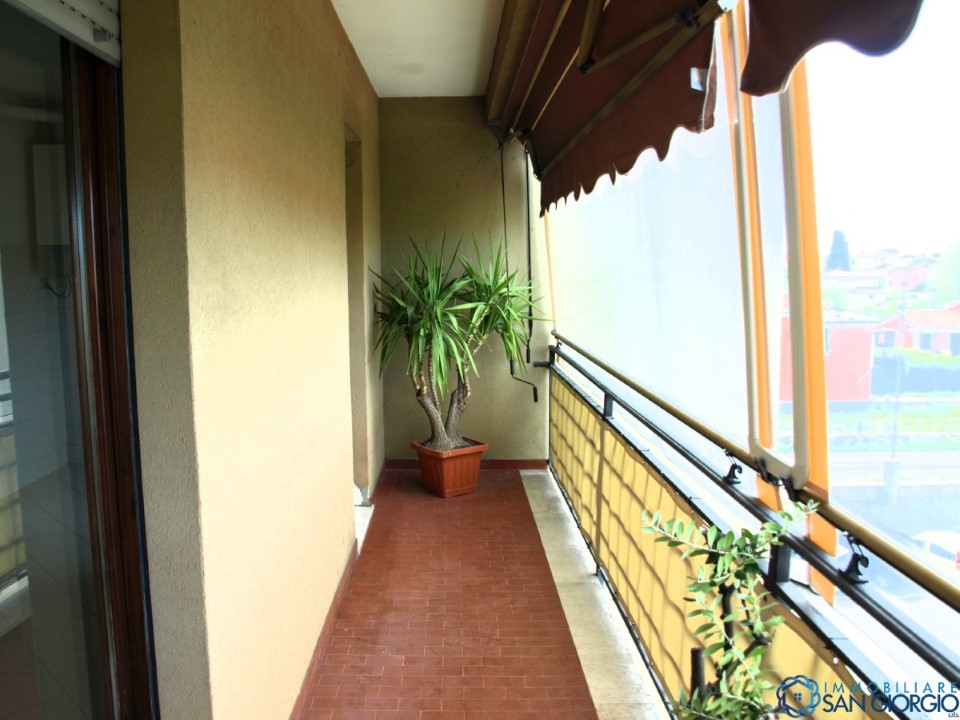 Appartamento SARZANA vendita  Sarzana  Immobiliare San Giorgio