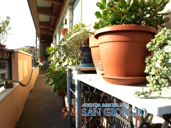 Attico SARZANA vendita  Sarzana  Immobiliare San Giorgio