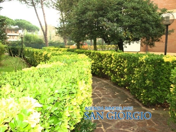 Appartamento MASSA vendita  Ronchi  Immobiliare San Giorgio
