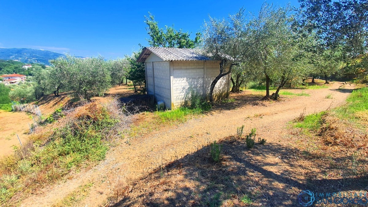 Rustico/Casale/Corte in Vendita Bolano